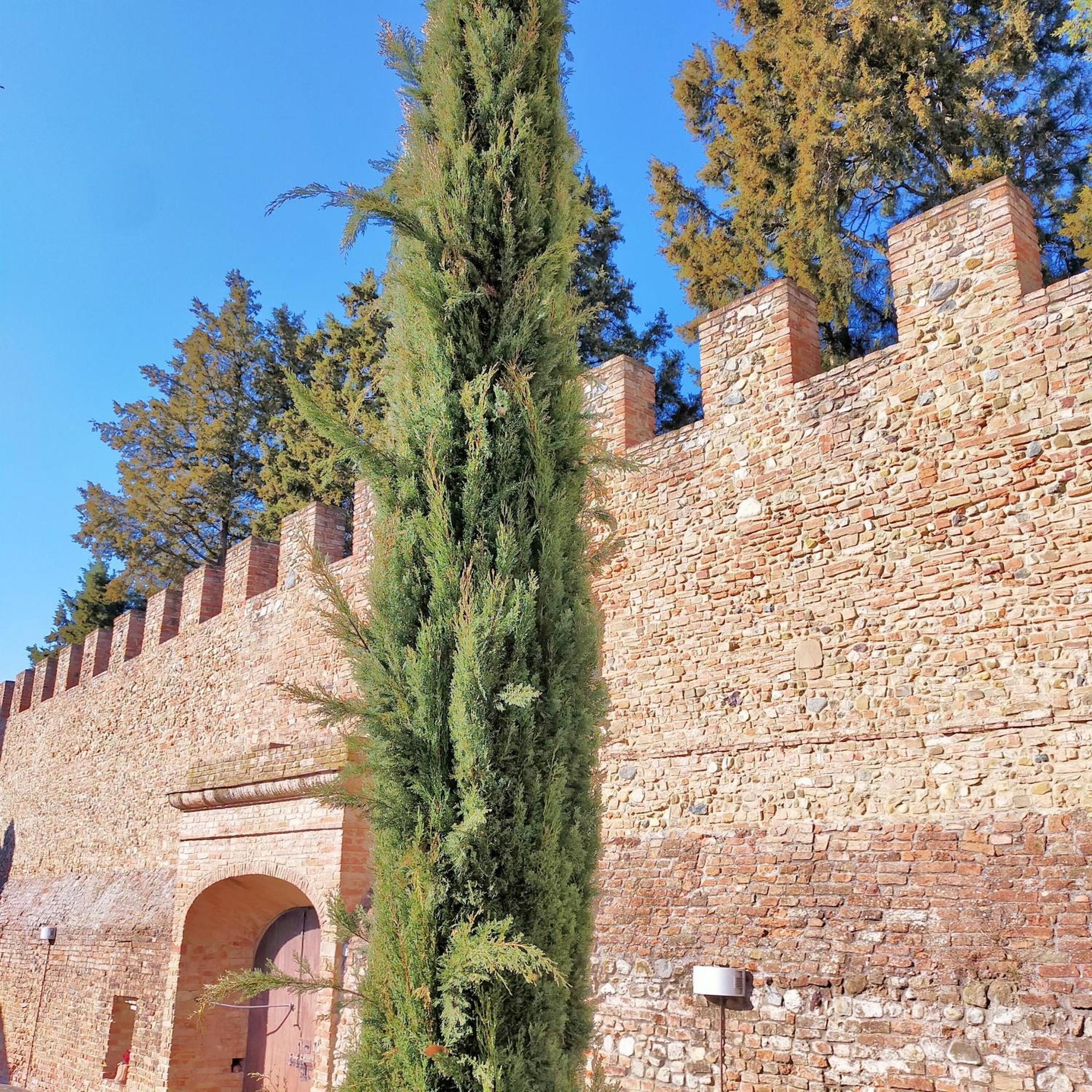 Palazzo Stiozzi Ridolfi Διαμέρισμα Certaldo Εξωτερικό φωτογραφία